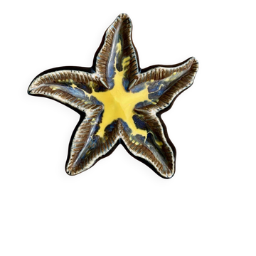 Étoile de mer en céramique