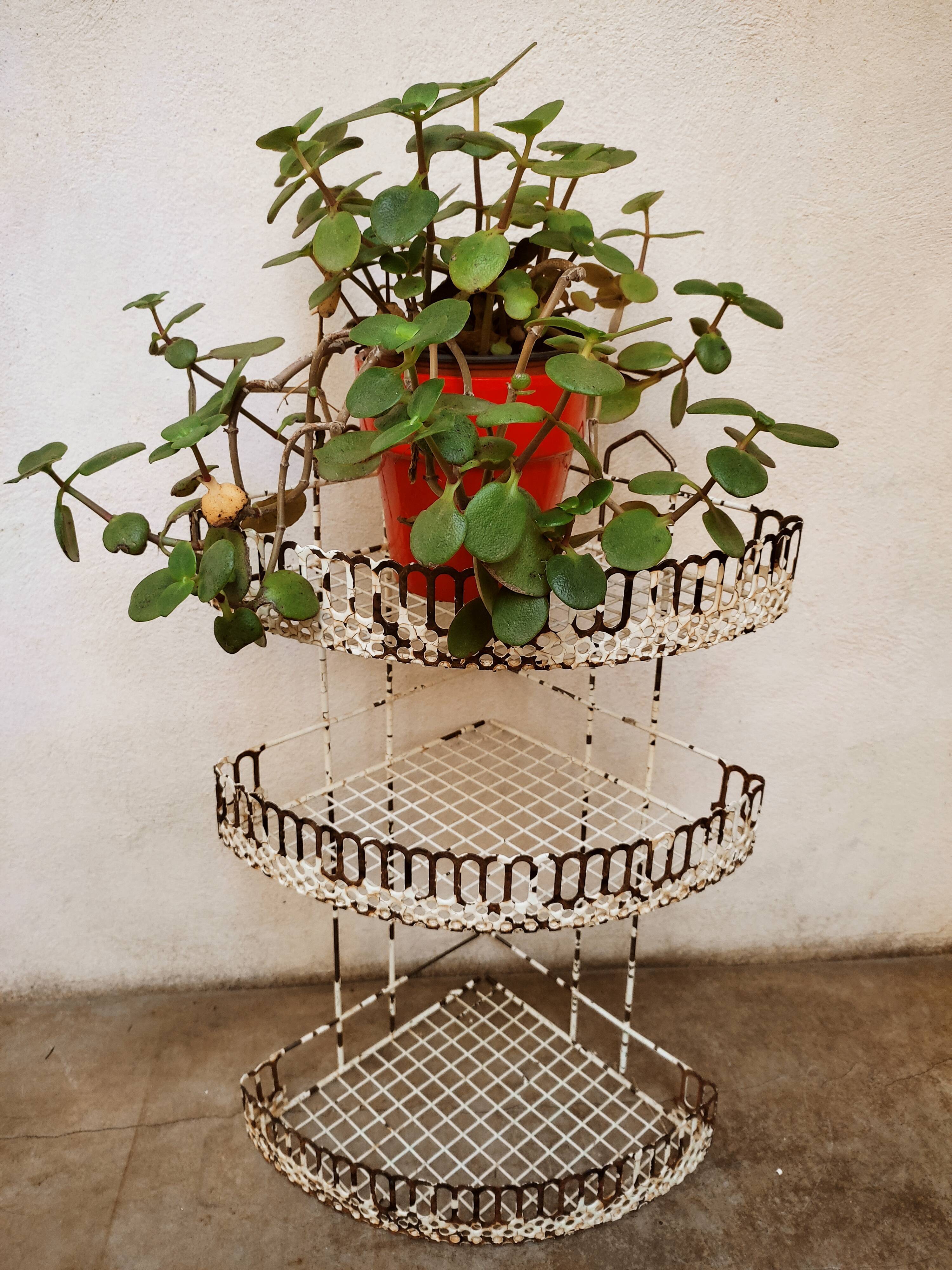 Perforated metal corner shelves