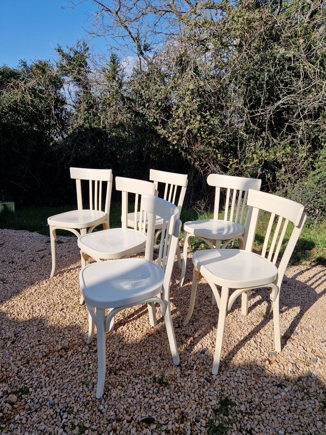 Bistro chairs x6