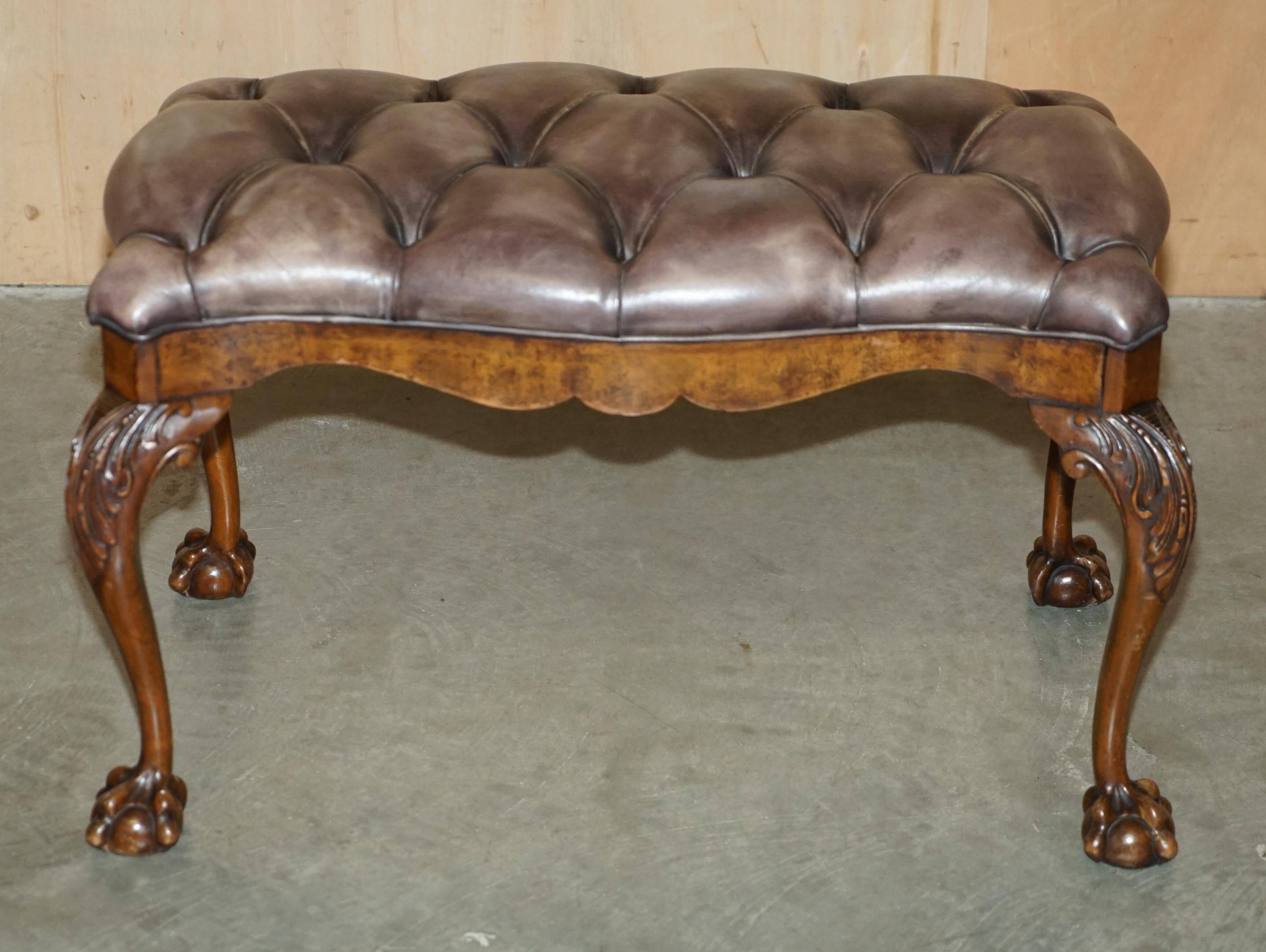 Banc ancien en cuir et noyer burr, style victorien