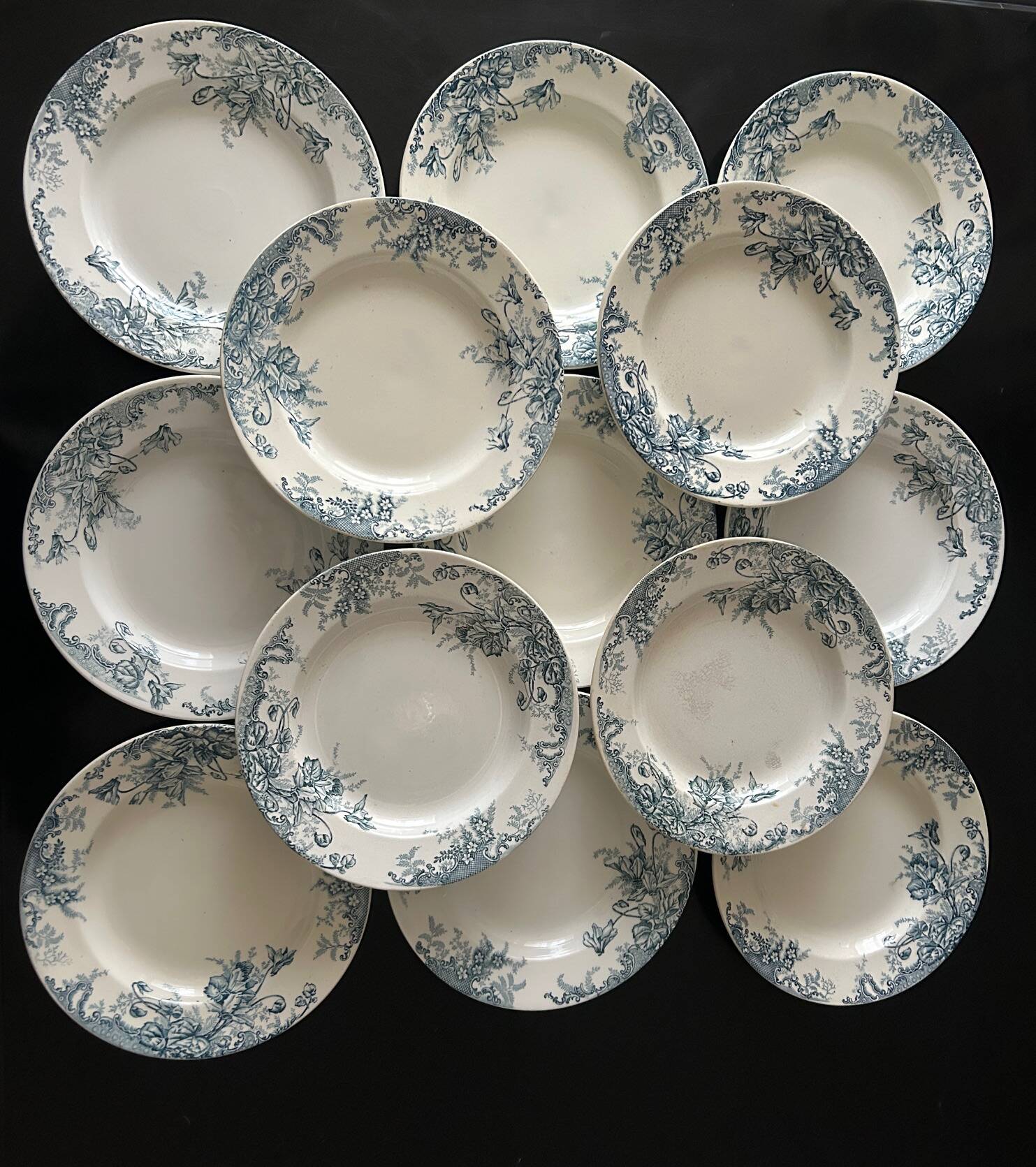 13 deep plates Terre de fer Cyclamens Louis Graves