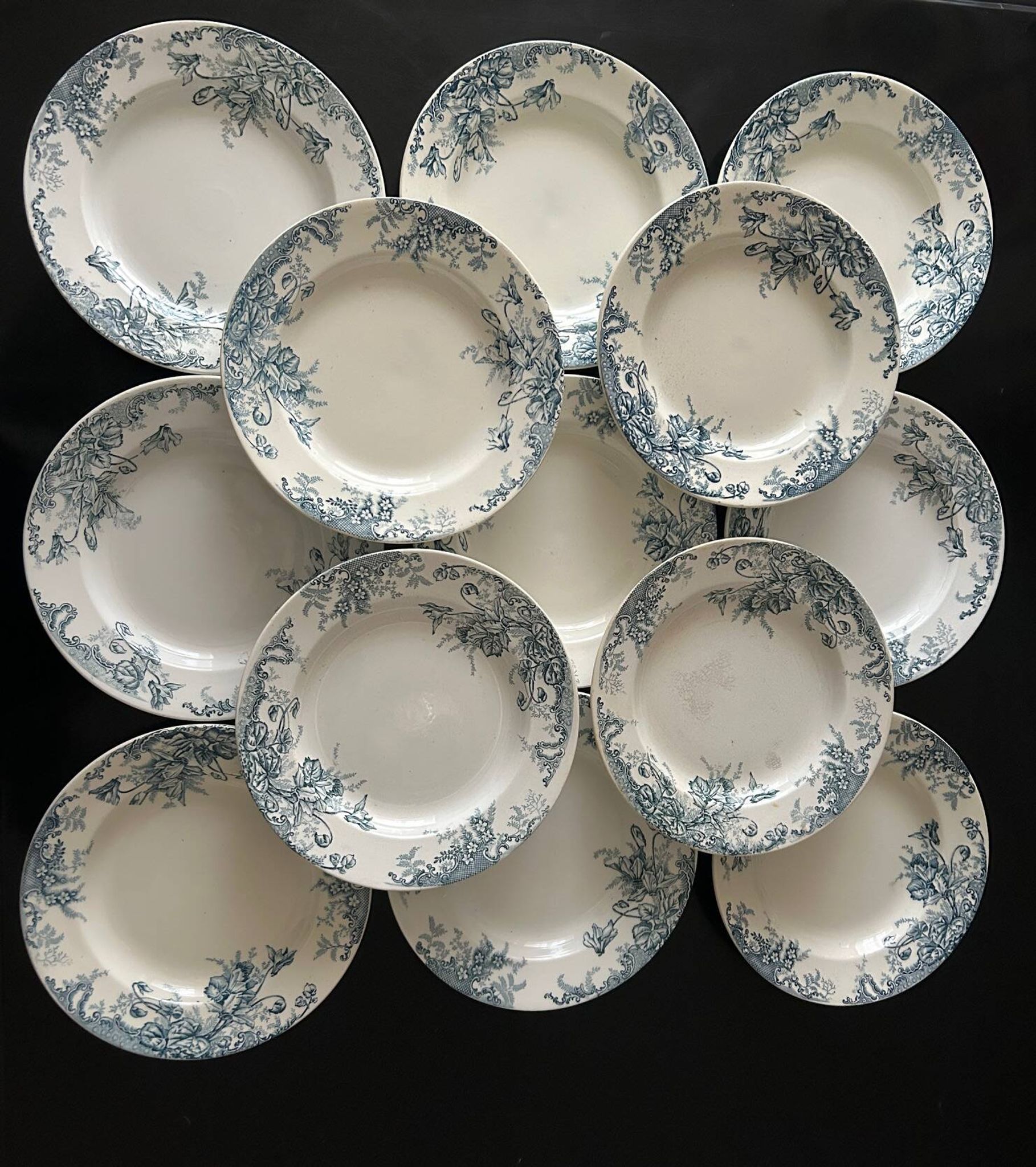 13 deep plates Terre de fer Cyclamens Louis Graves