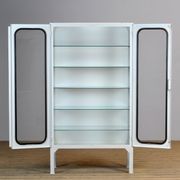 Glass & Iron Medical Cabinet, 1970s