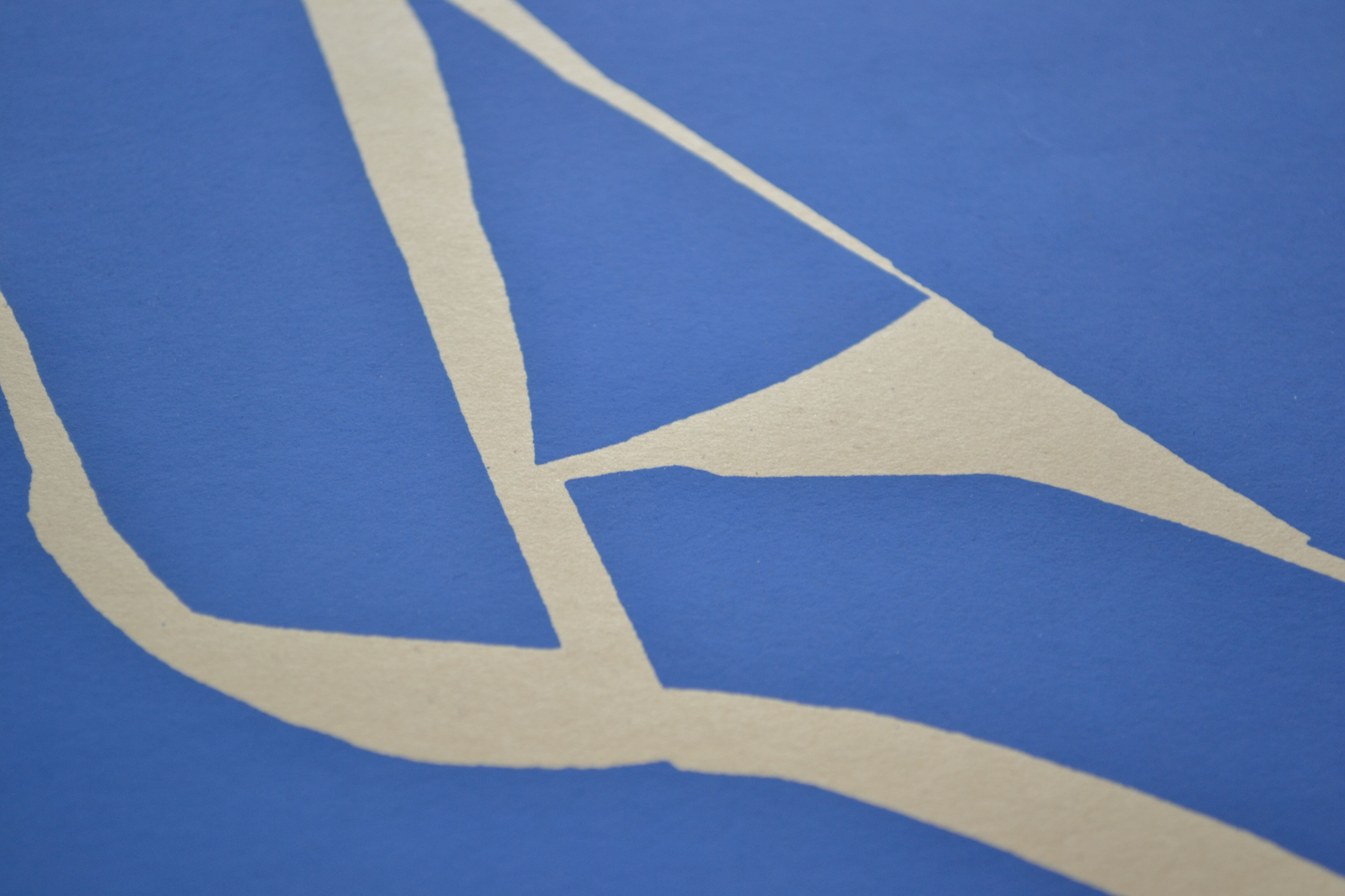 Matisse " nu bleu " 1952 screen print poster spadem 1971