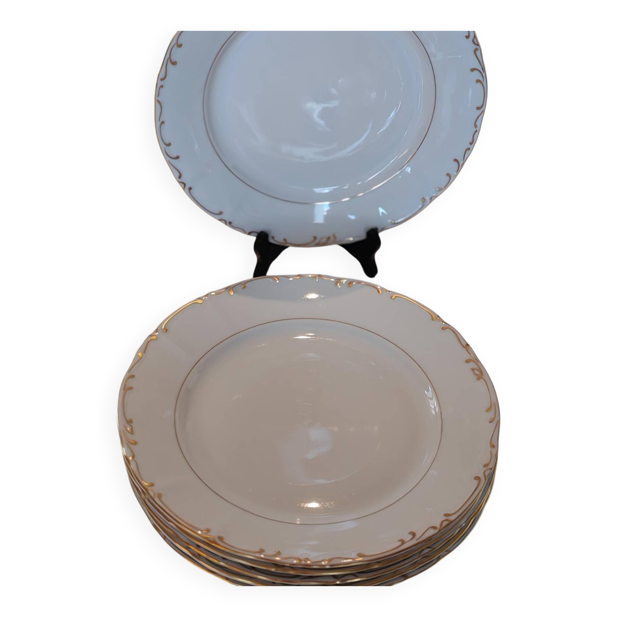 Porcelain dinner plates