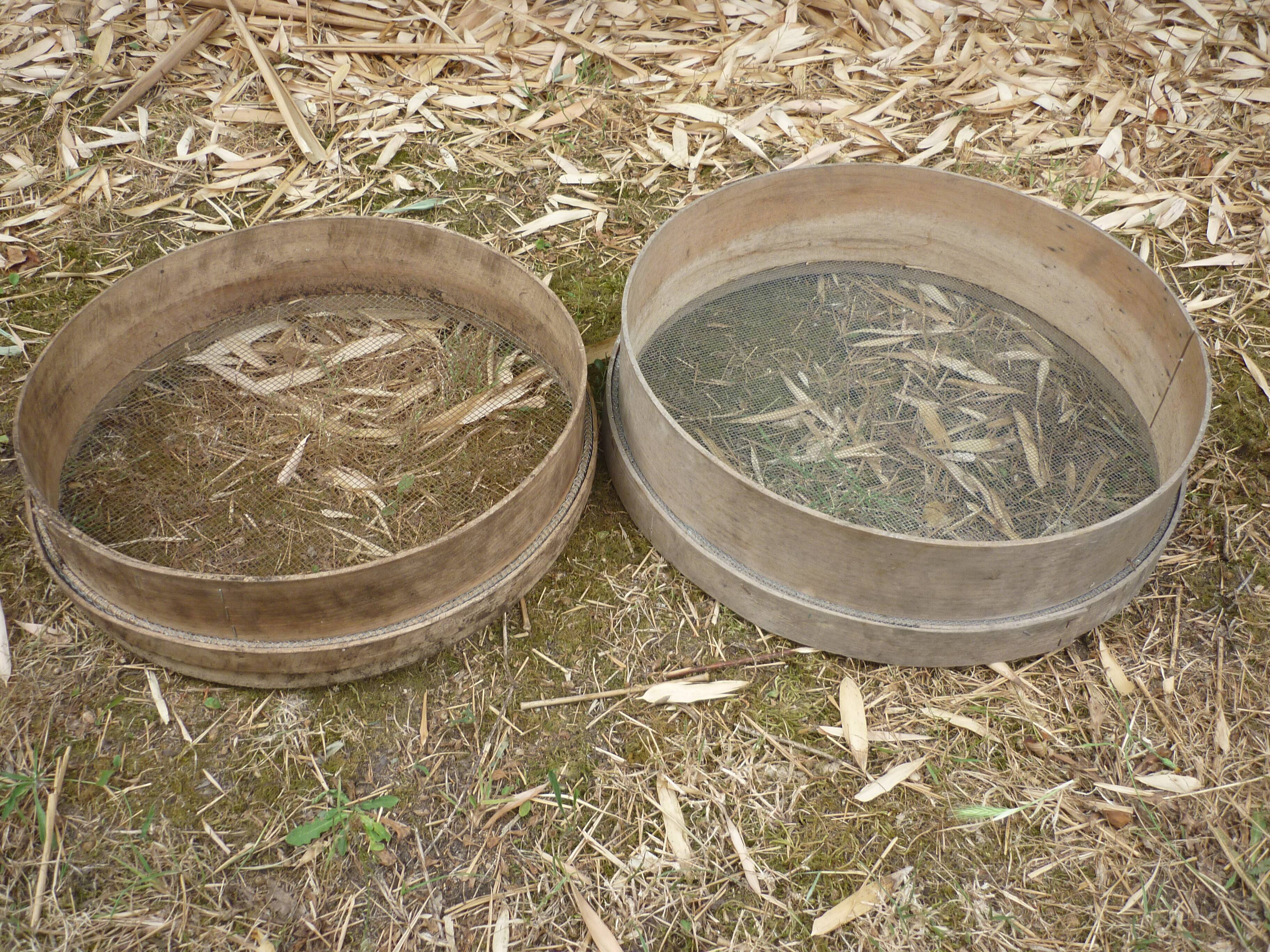 2 old wooden sieve