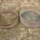 2 old wooden sieve