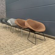 5x Knoll Bertoia Diamond chair upholstered