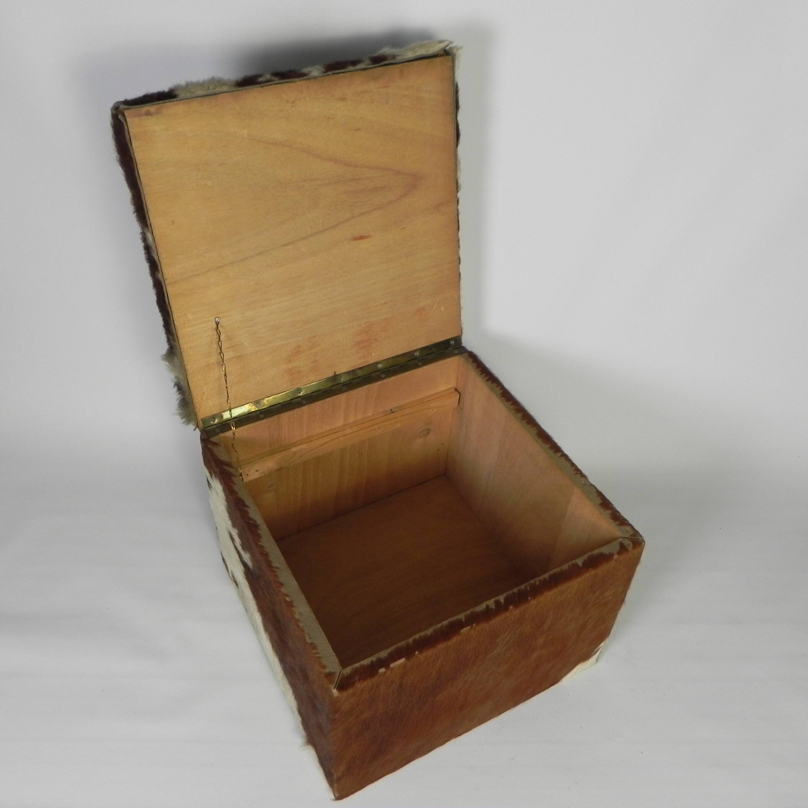 Vintage pouffe, storage chest upholstered in cowhide, Netherlands 1950s