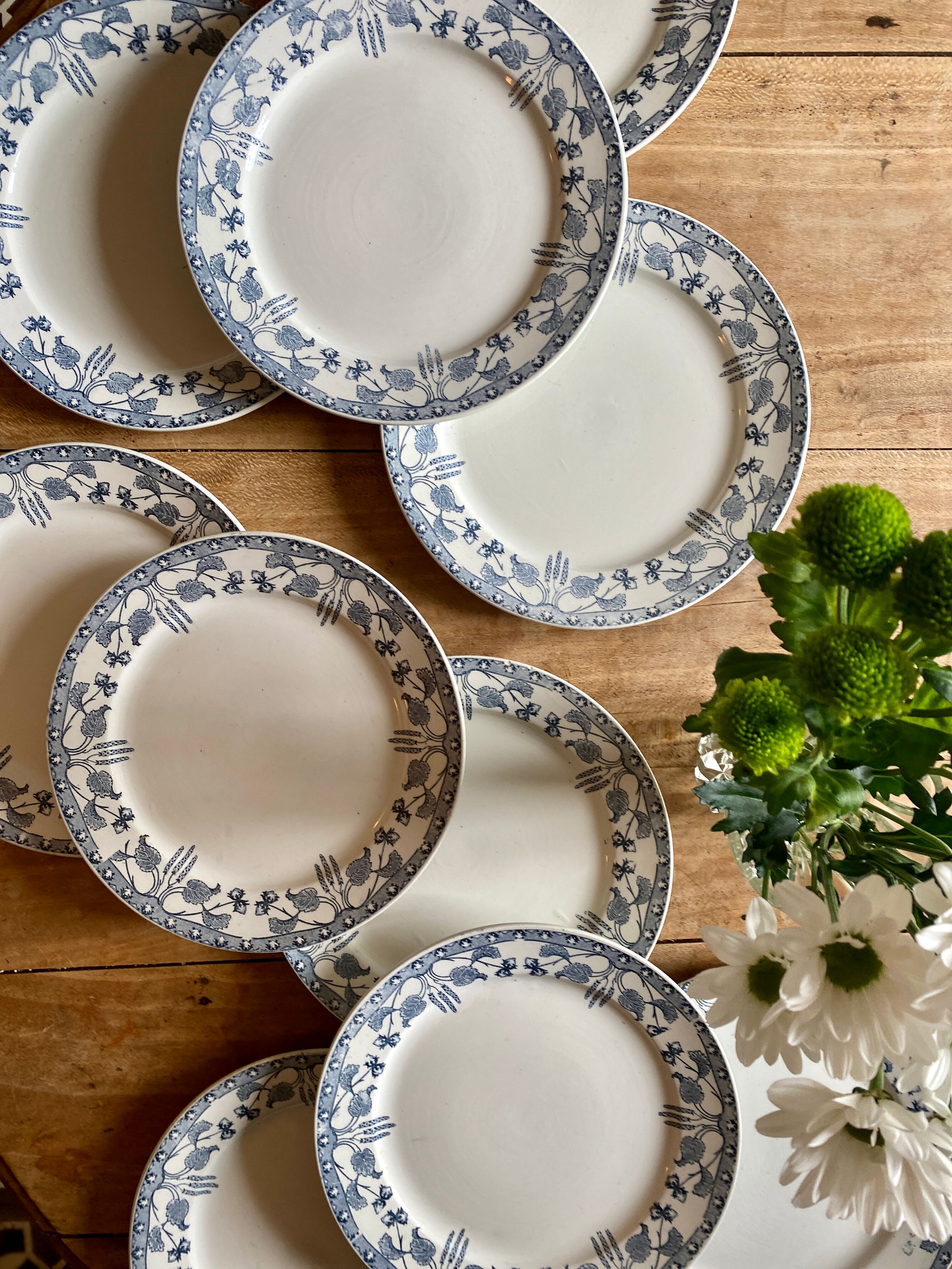 Set of 10 old flat plates in iron earth, model Noisette de Sarreguemines