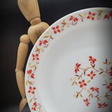 Set 6 flat plates Red and orange flowers