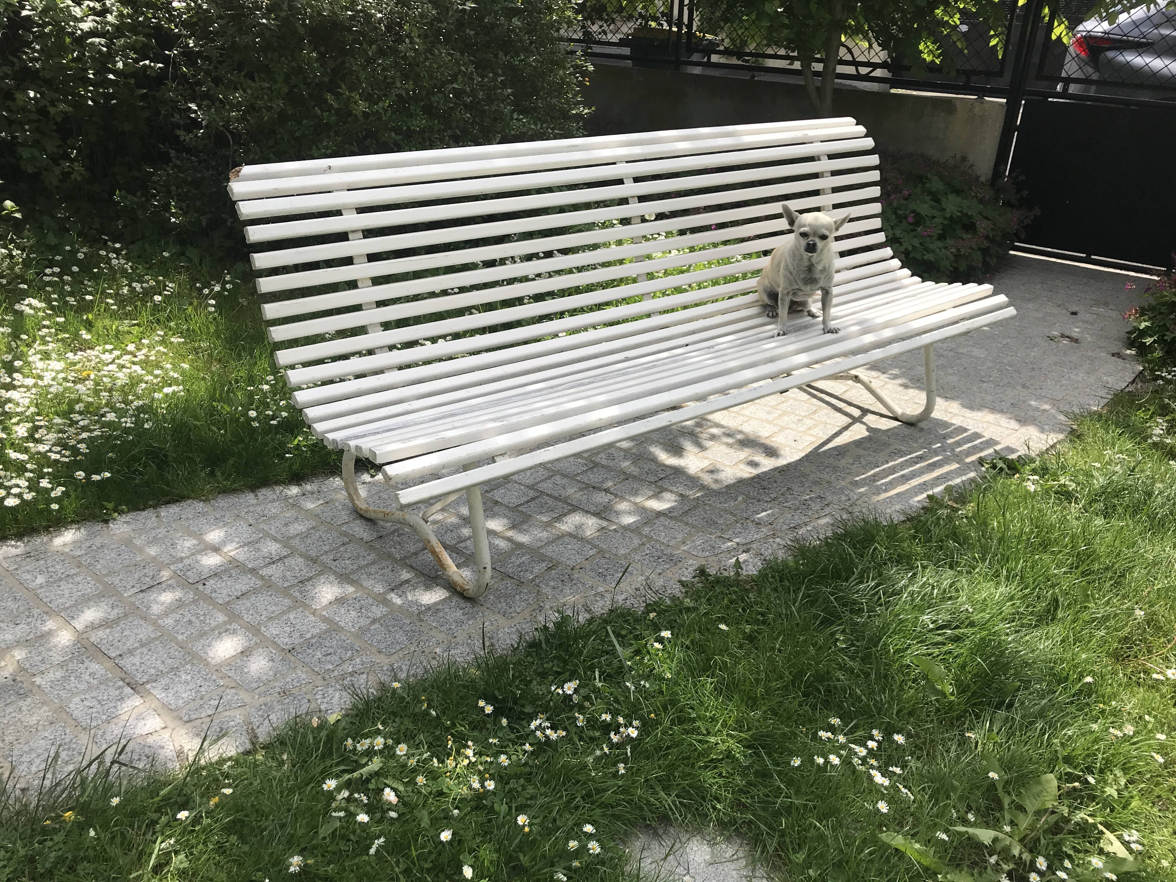 White metal Garden Bench and wooden slats 1970