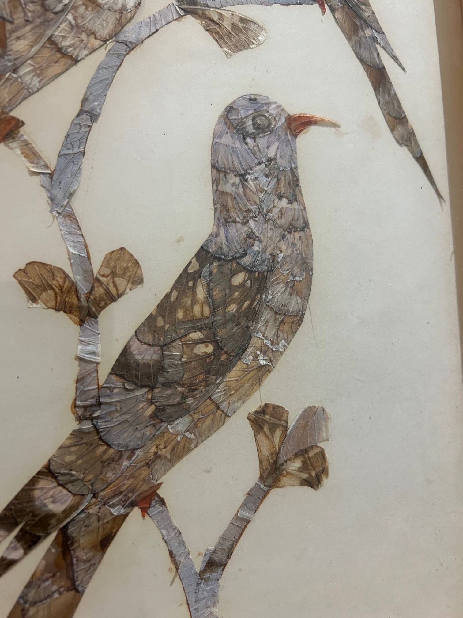 cadre sous verre aux oiseaux