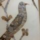 cadre sous verre aux oiseaux