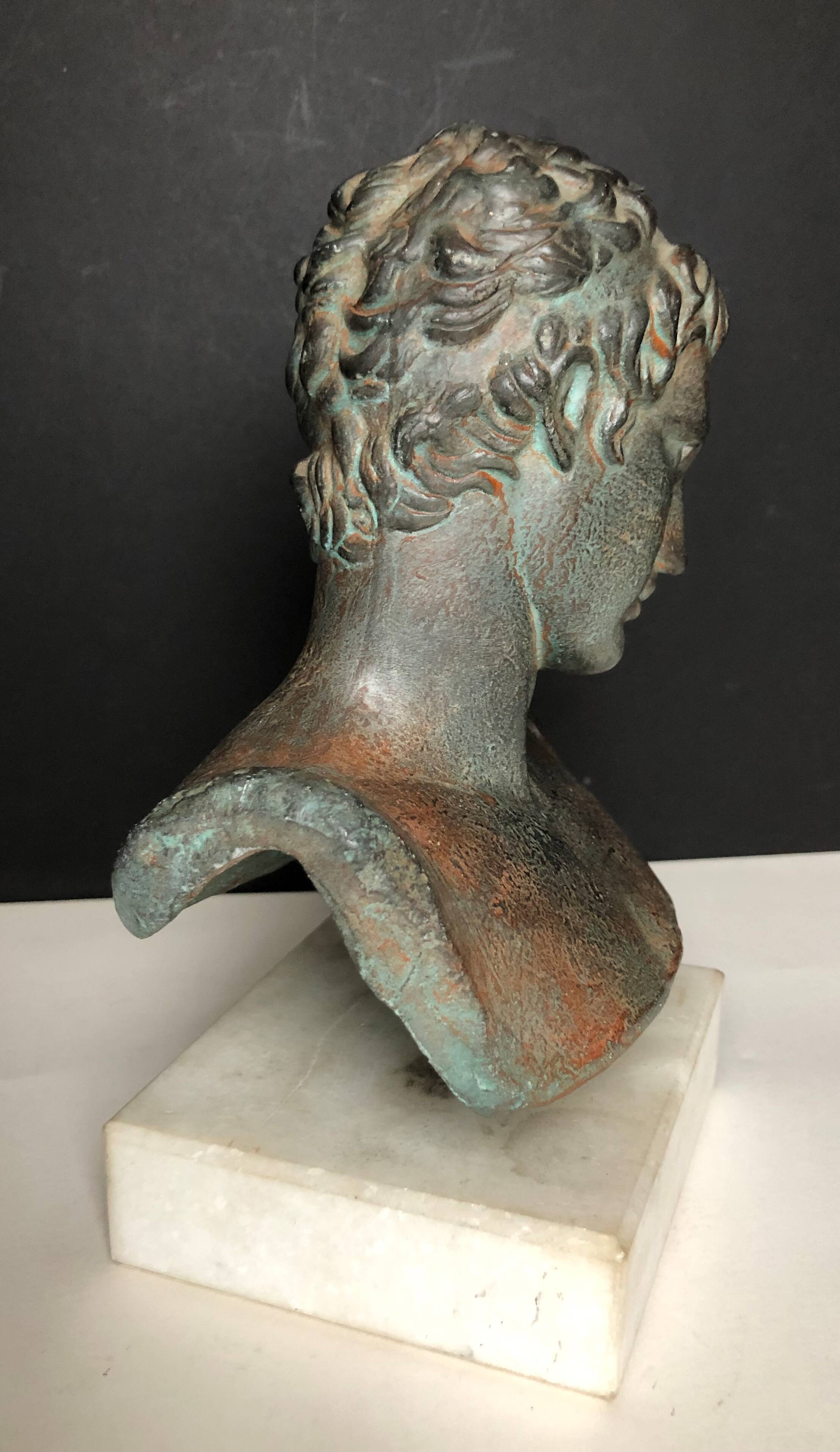 Greek bust in terracotta with bronze patina