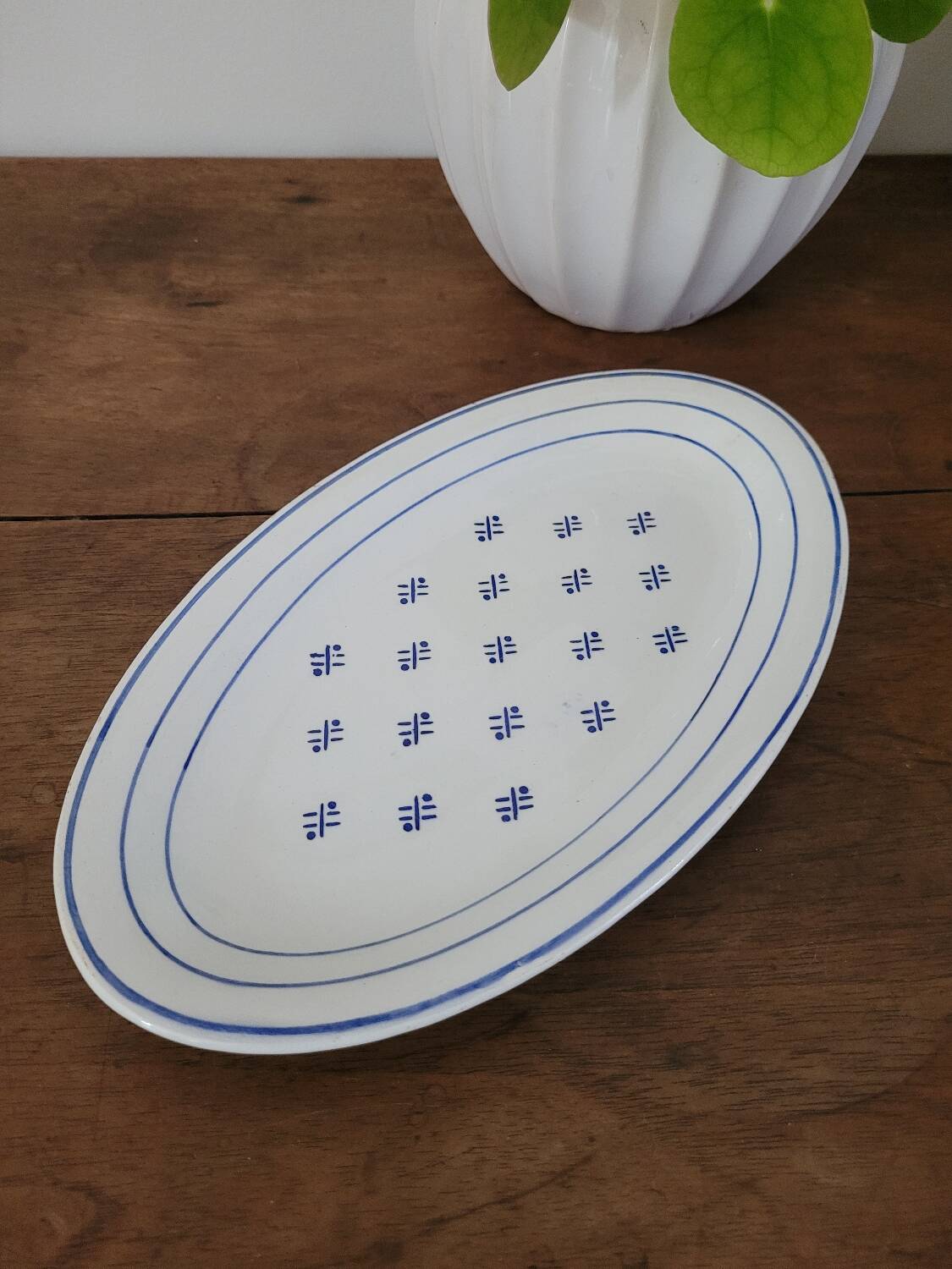 Opaque porcelain dish