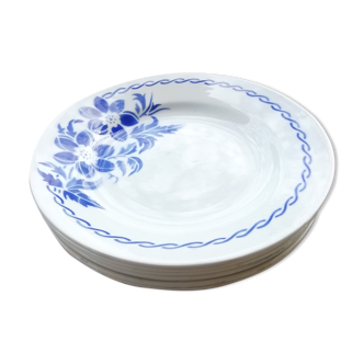 Set of flat plates iron earth