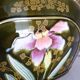 Planter, art nouveau, iris, enameled ceramic, signed Gustave De Bruyn, Fives-Lille