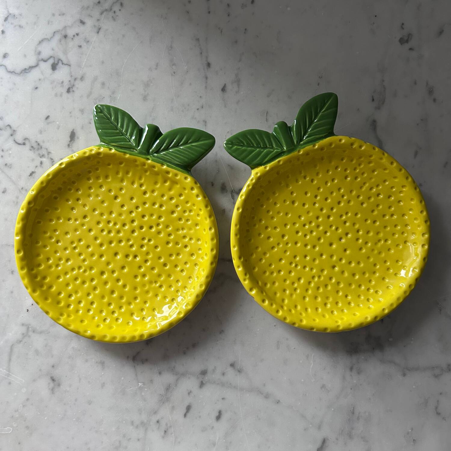 Paire de plats citrons en barbotine