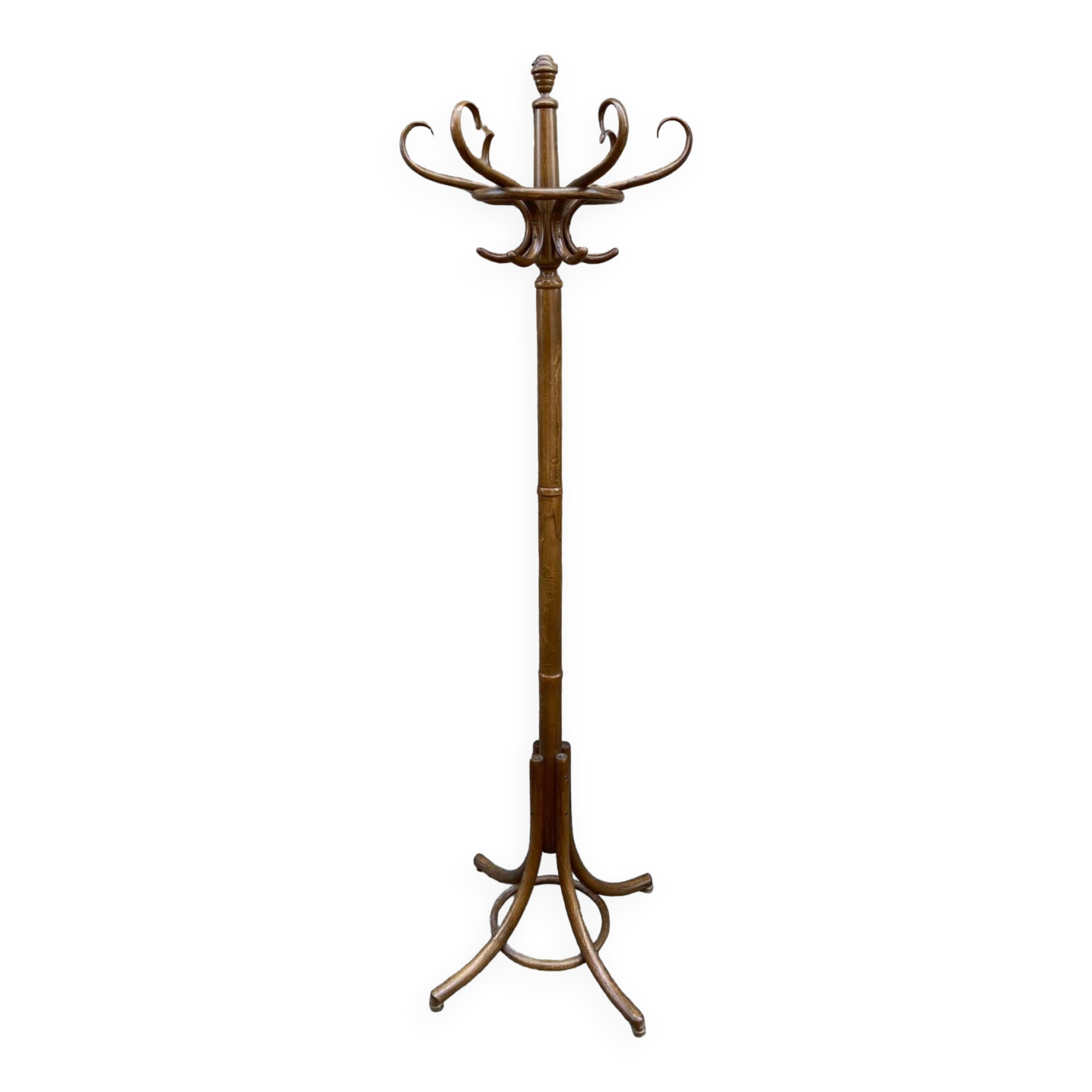 Porte manteau perroquet vintage bois courbé
