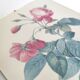 Lot 2 Frames botanical illustration flower rose