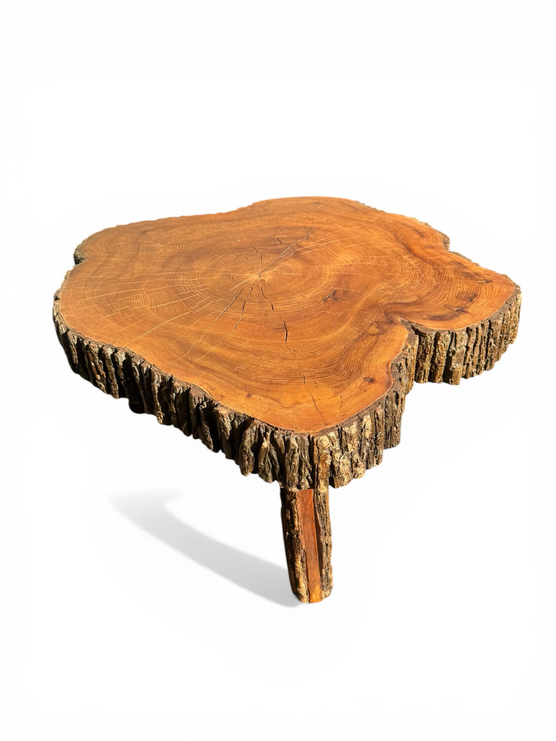 Large brutalist coffee table made from a single piece of cedar trunk, 1960.