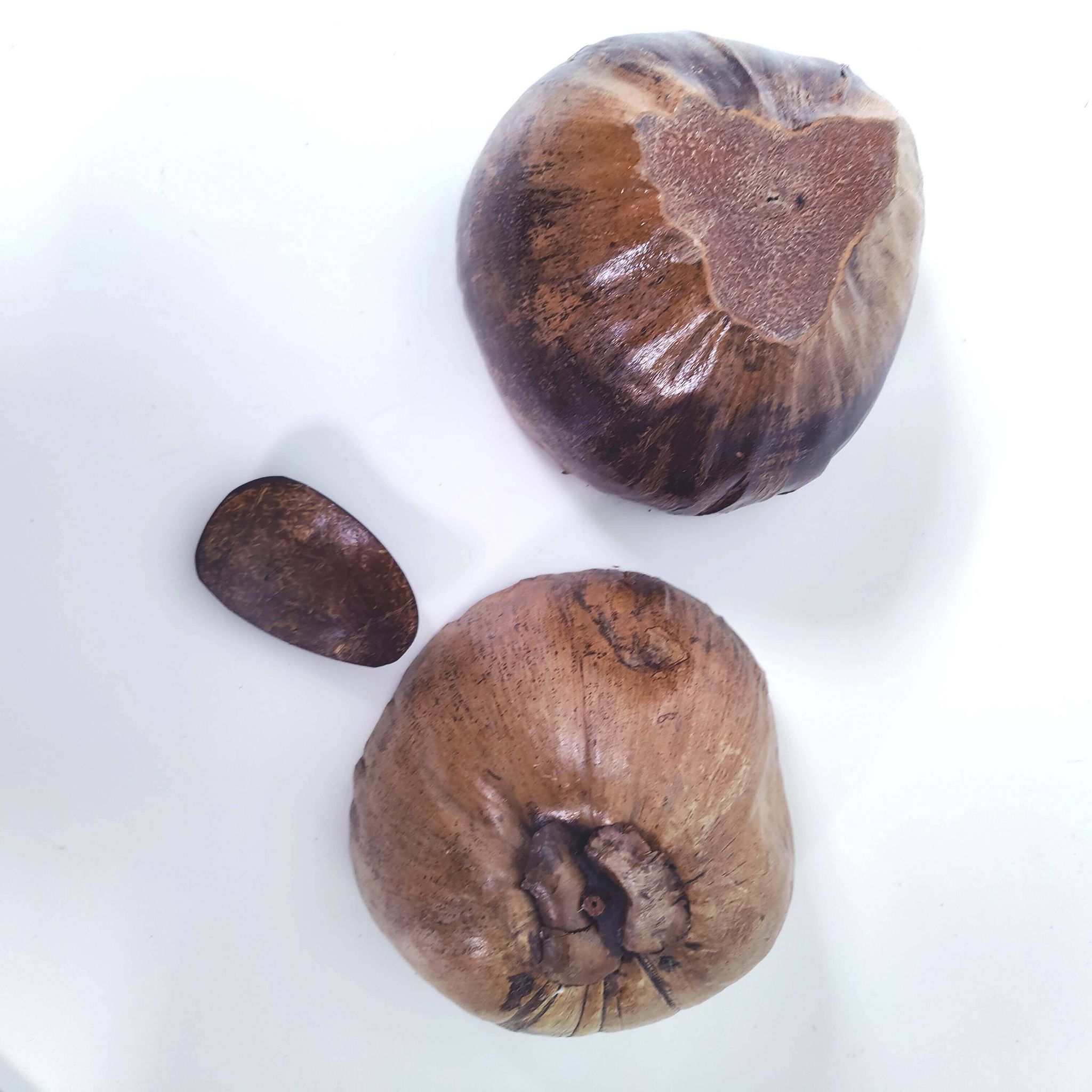 Seau à glaçons noix de coco vintage