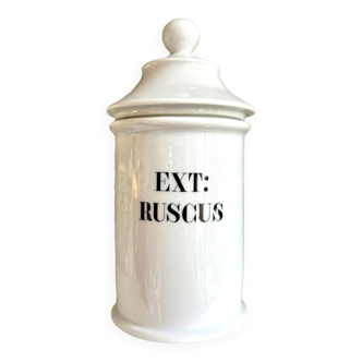 Apothecary jar ext: ruscus in limoges porcelain