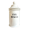 Apothecary jar ext: ruscus in limoges porcelain