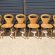6 BAUMANN V2 chairs in light beech