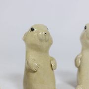 Valérie Courtet. Prairie dog. Contemporary work.