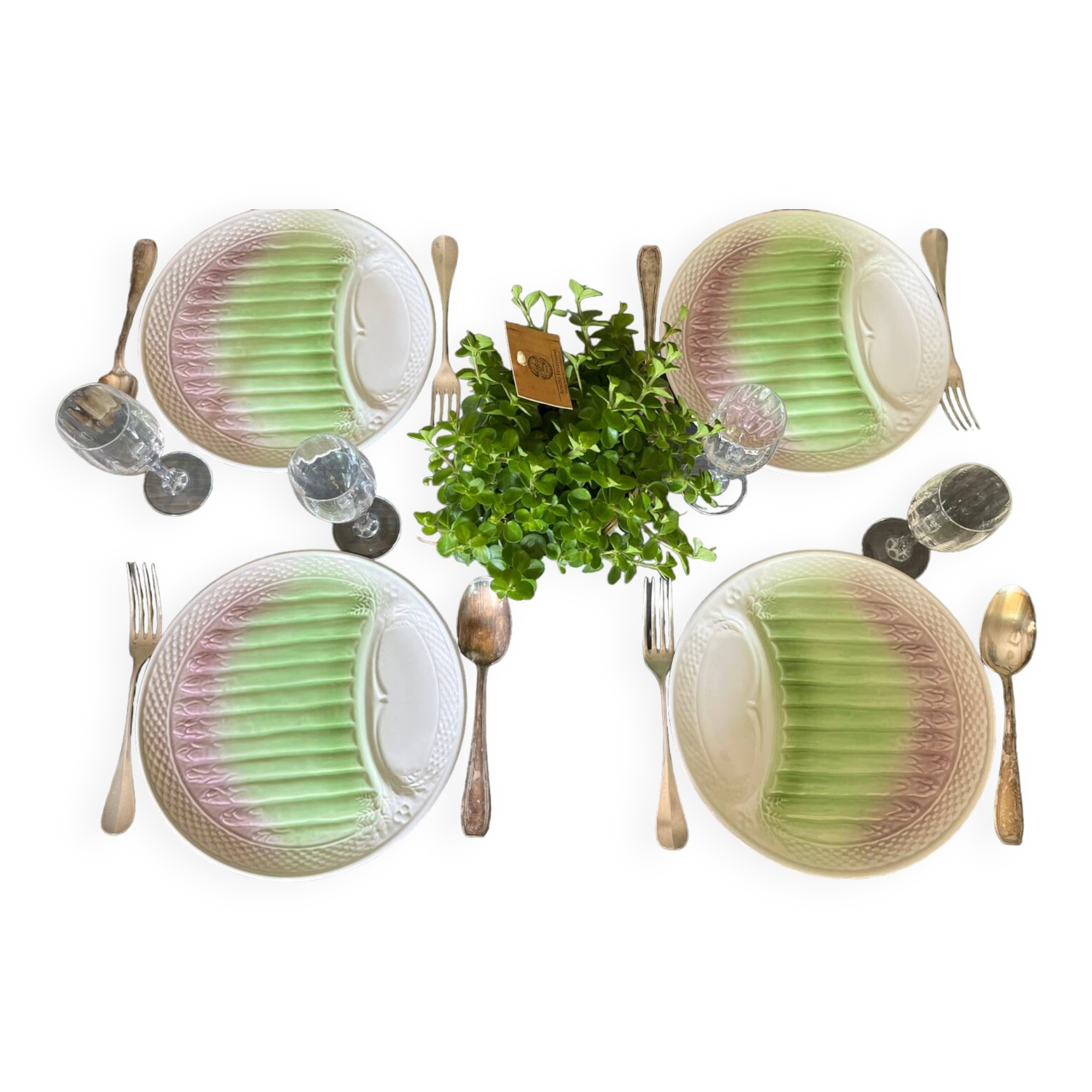 Asparagus plates