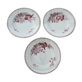 Favorite Sarreguemines plates