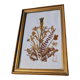 Vintage frame dried flowers