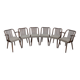 Ensemble de six chaises de salle à manger en hêtre Antonin Suman des années 1960, restaurées
