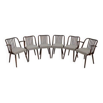 1960s Antonin Suman Set of Six Beech Dining Chairs, Restored