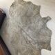 Cow skin mat 210 x 175 cm