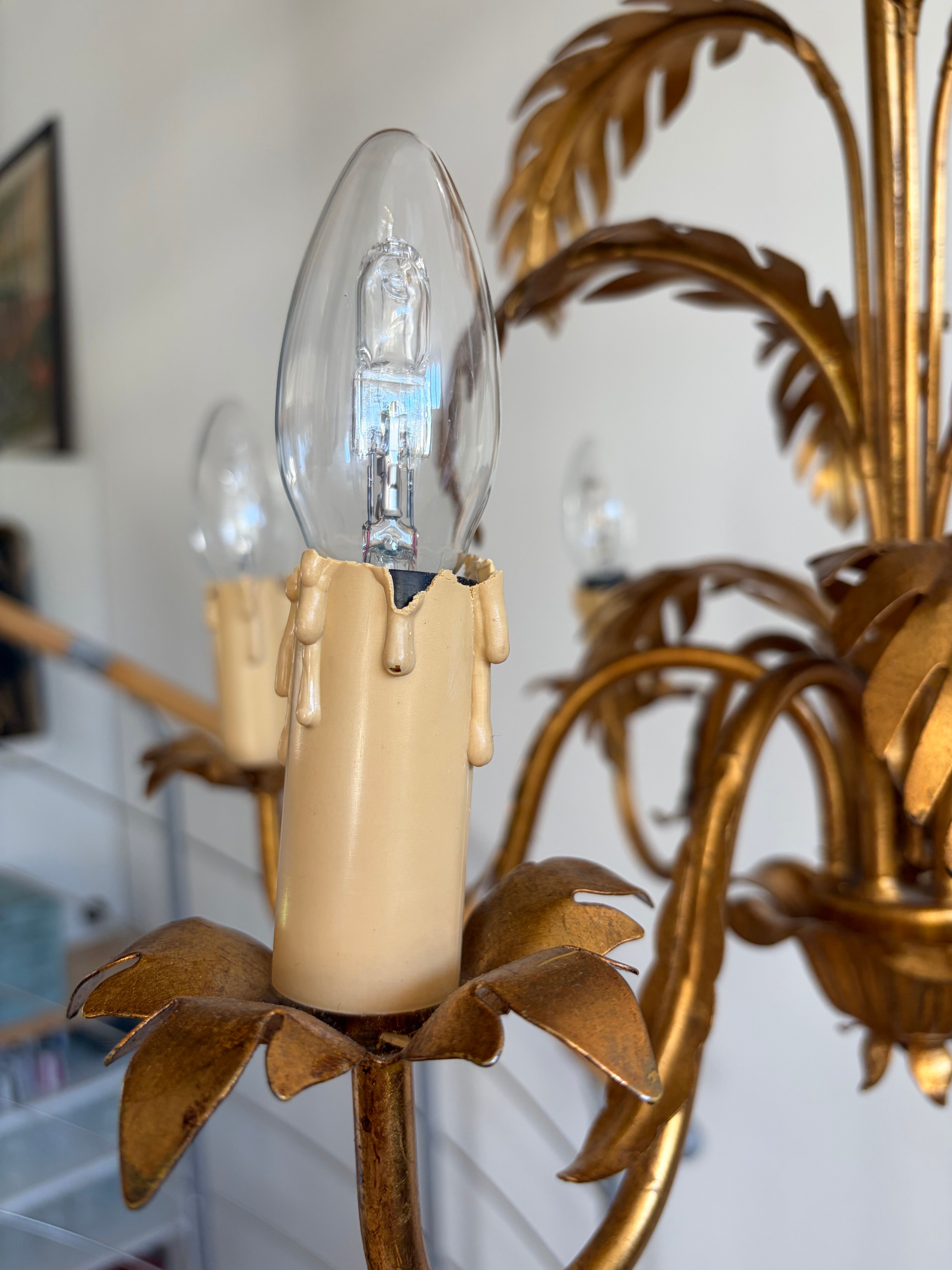 Lustre Hans Kogl