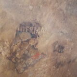 Curved wooden stool Luterma