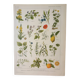Old engraving 1922, Medicinal plants 1, flowers and plants, flora • Lithograph, Original plate
