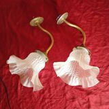 Pair of wall lights with tulips