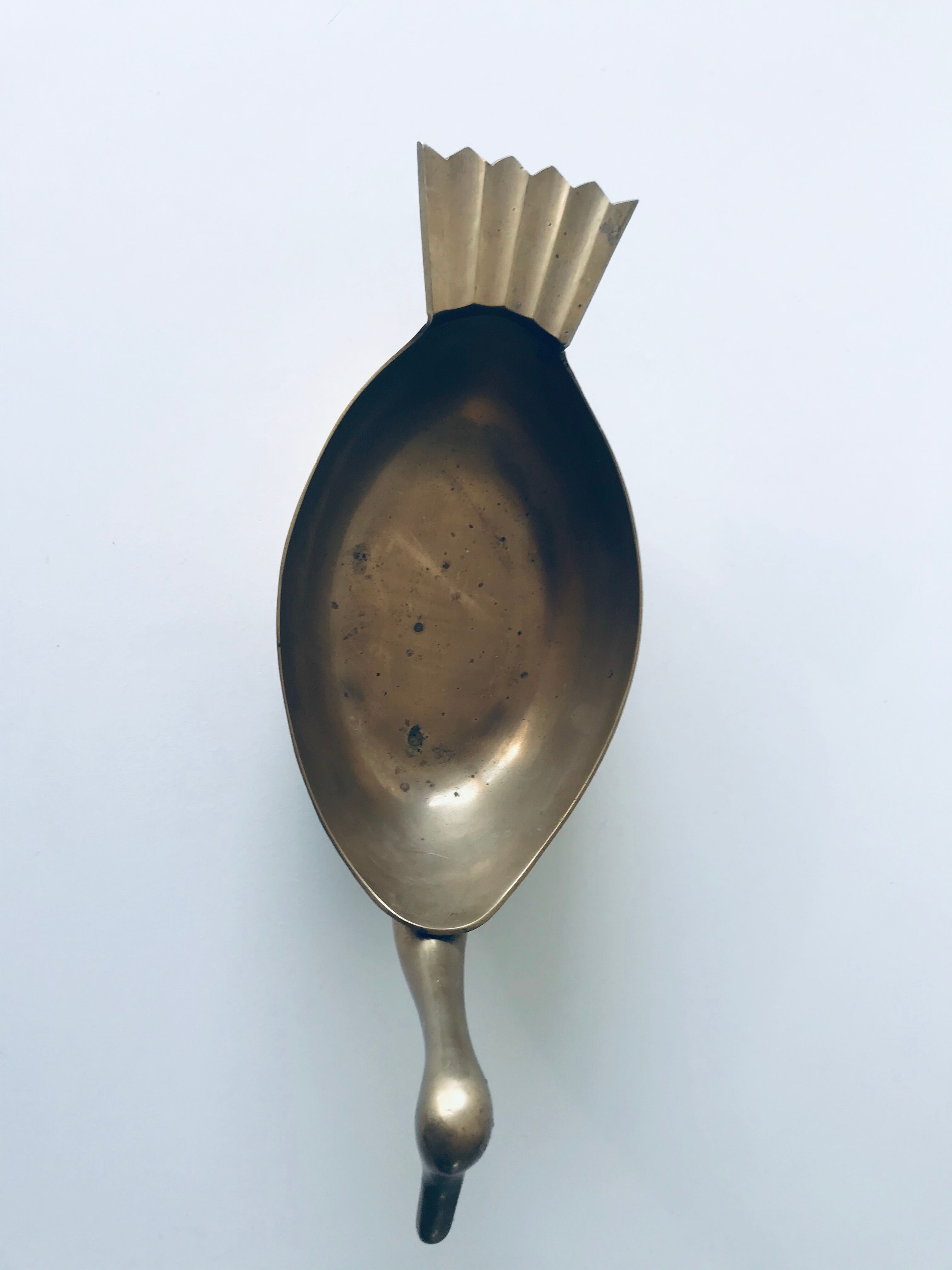 Empty brass duck empty pocket