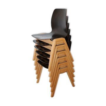 6 adult chairs pagholz wooden legs
