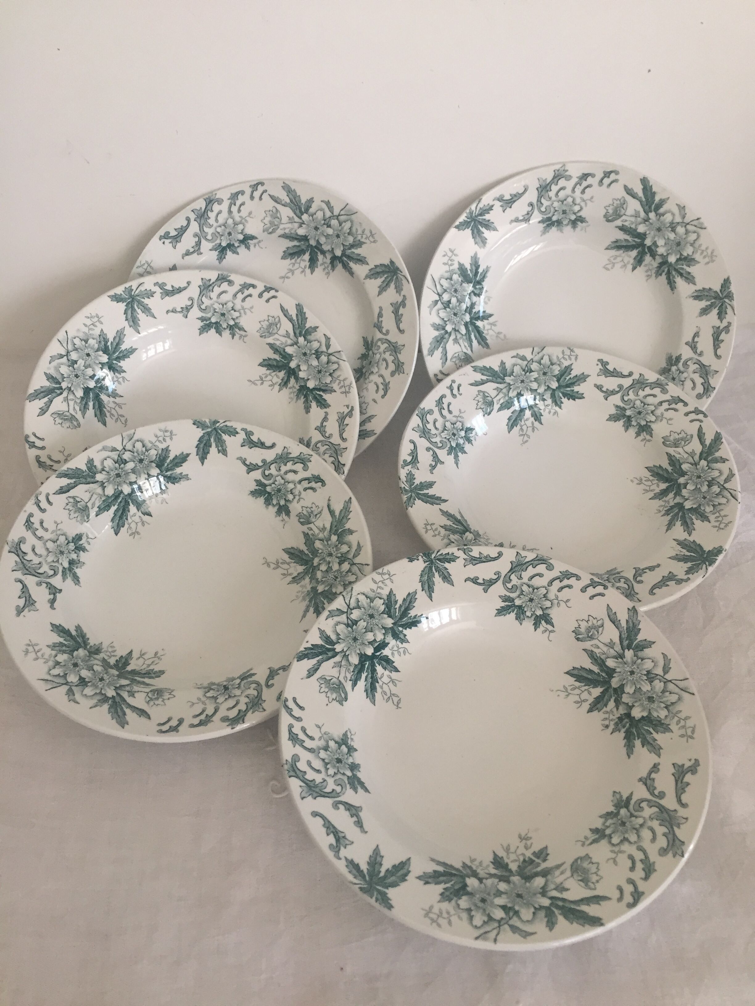 6 hollow plates Saint Amand - Anémone decor