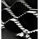 Stepwell. photography in Rajasthan 1960s