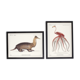 Set of 2 framed chimera lithography animal engraving