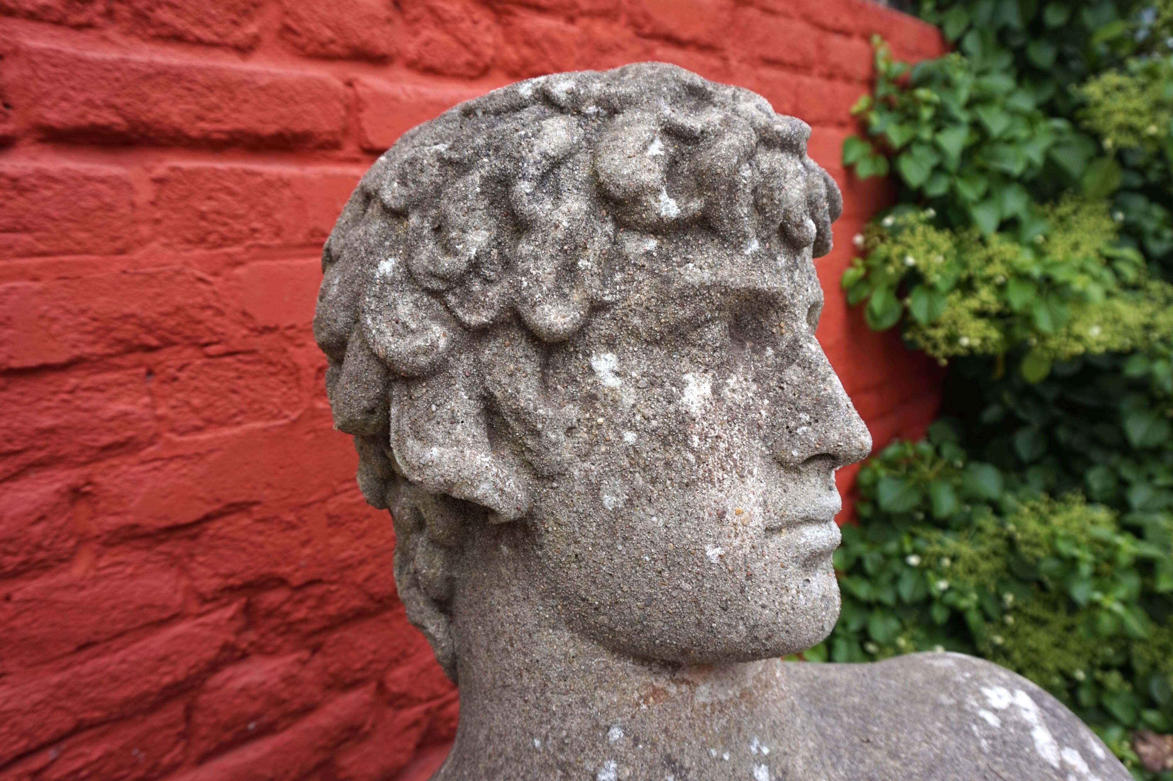 Weathered garden sculpture David concrete bust