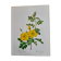 Botanical plate Wild Rose P.J. Redouté 1960
