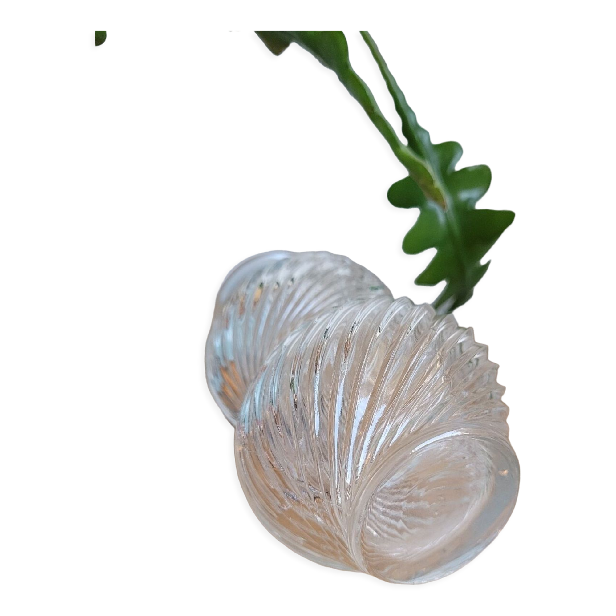 Small molded glass vase