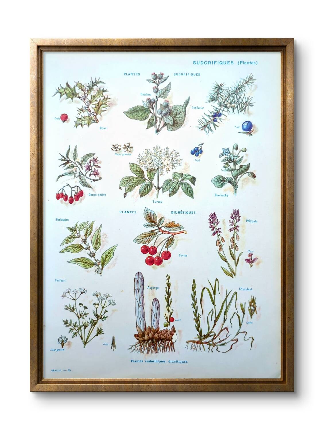 Medical plant board, printed in 1954